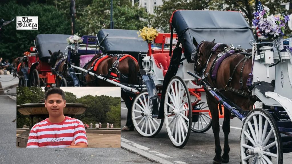 New York Passes Romanch’s Law to Ban Horse-Drawn Carriages