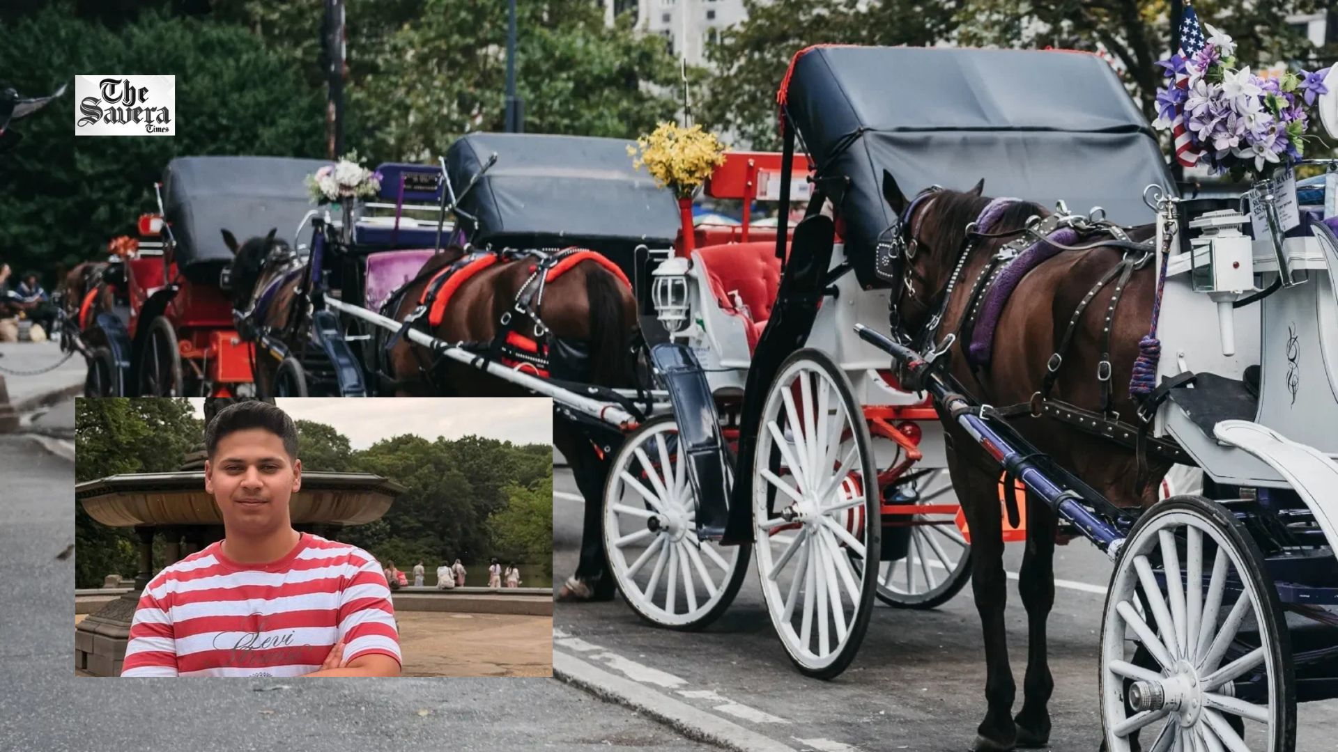 New York City Council Passes Horse Carriage Ban, Names Law After Indian Teen Killed in Accident