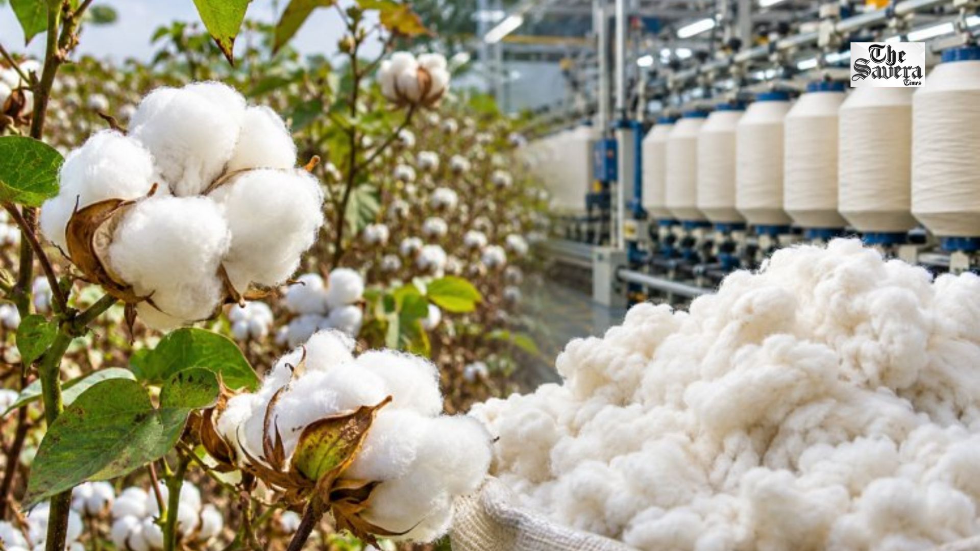 Textile Sector Gets Raw Material Relief as Centre Extends Cotton Import Duty Exemption Till December 31