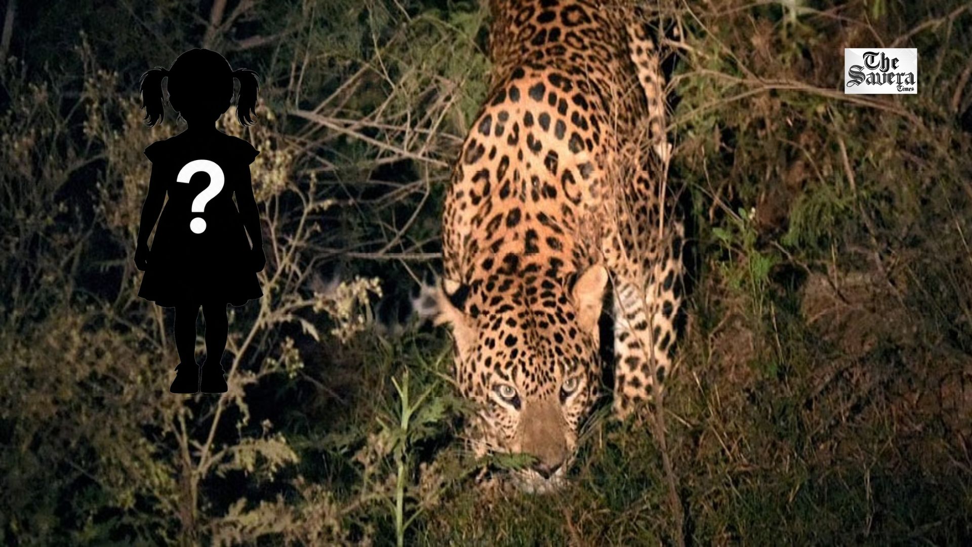 Gujarat: 3-Year-Old Child Killed in Suspected Leopard Attack in Navsari; 5 Forest Teams Deployed