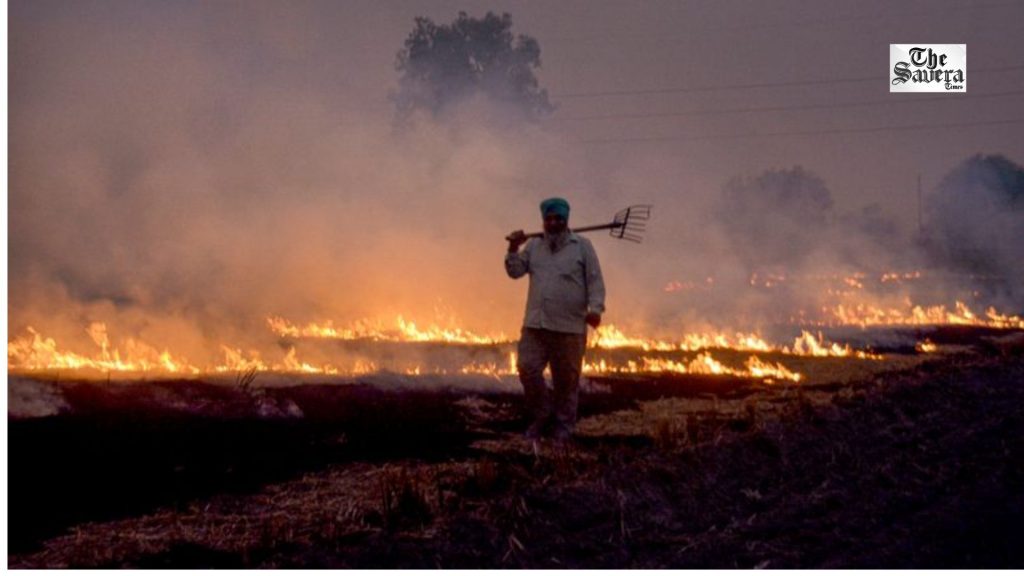 Punjab Records 84 Stubble-Burning Fires; Amritsar Accounts for 49 Incidents