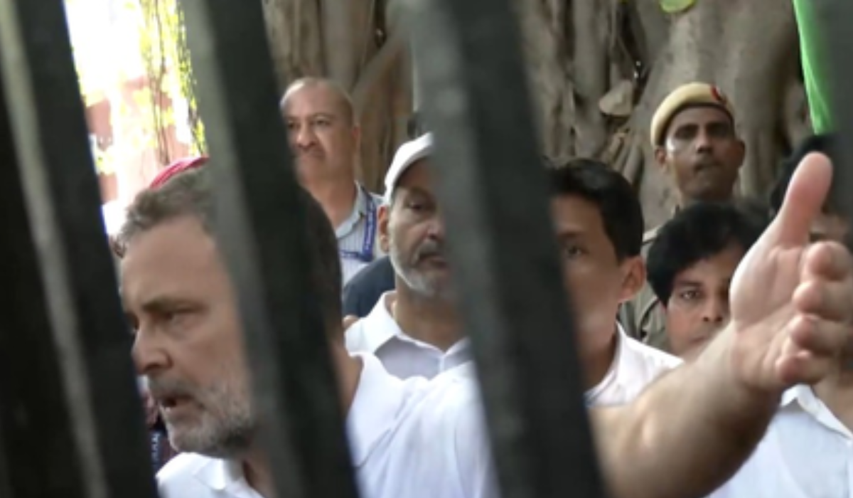 ‘Not only countering, going to destroy them’: Rahul Gandhi amid INDIA Bloc protest