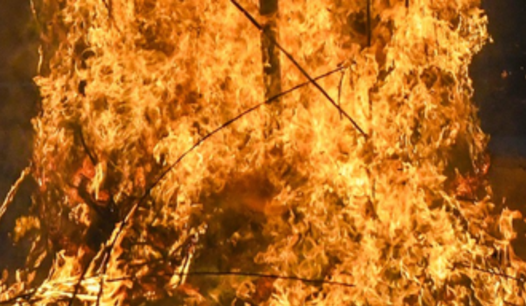 MP: Bus catches fire near Ujjain after tyre burst, passengers escape unhurt