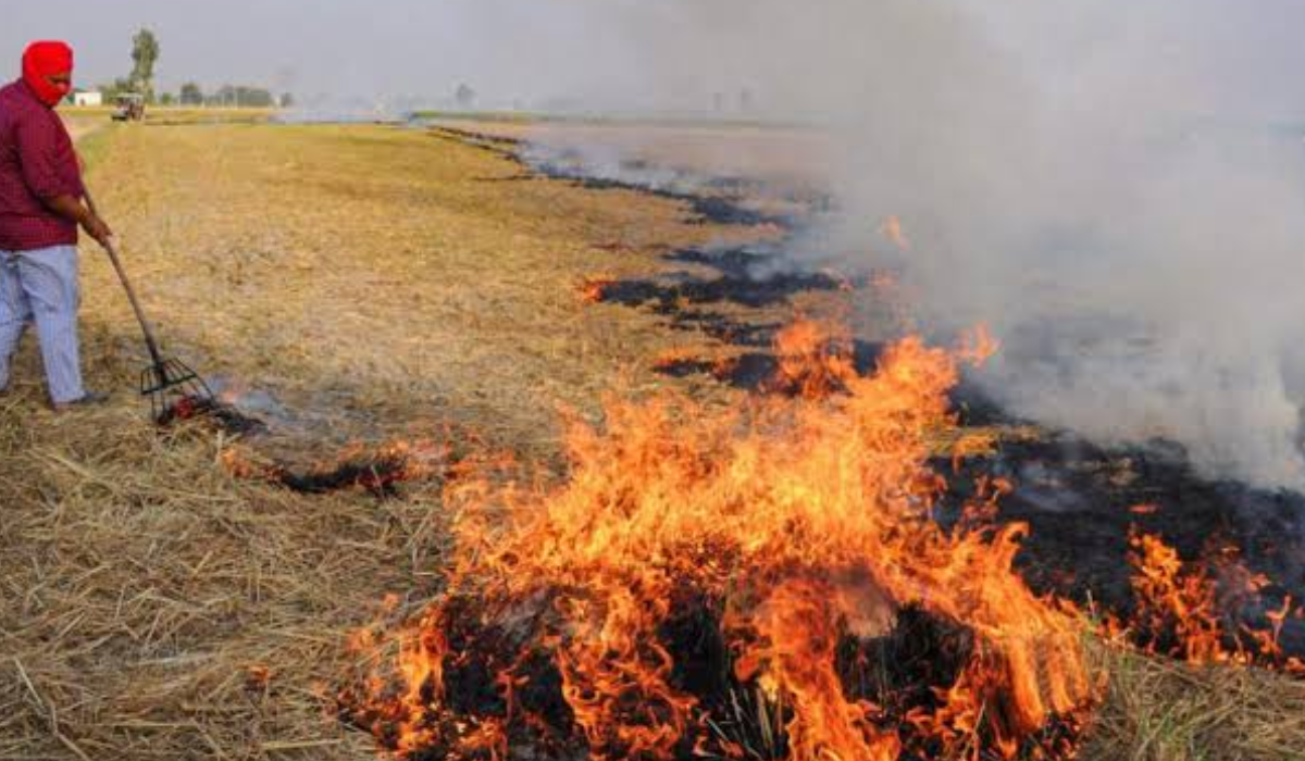 Stubble Burning Recurrence
