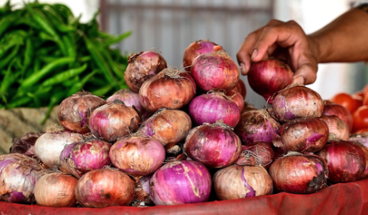 Onion prices dip as fresh crop flows into markets