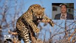 Uttarakhand Leopard Attack: Woman Killed Near Khandah Village