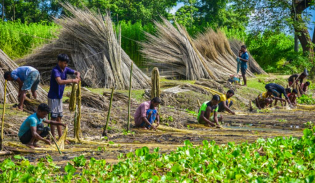 PM Dhan-Dhaanya Krishi Yojana aims to develop 100 Aspirational Agricultural Districts