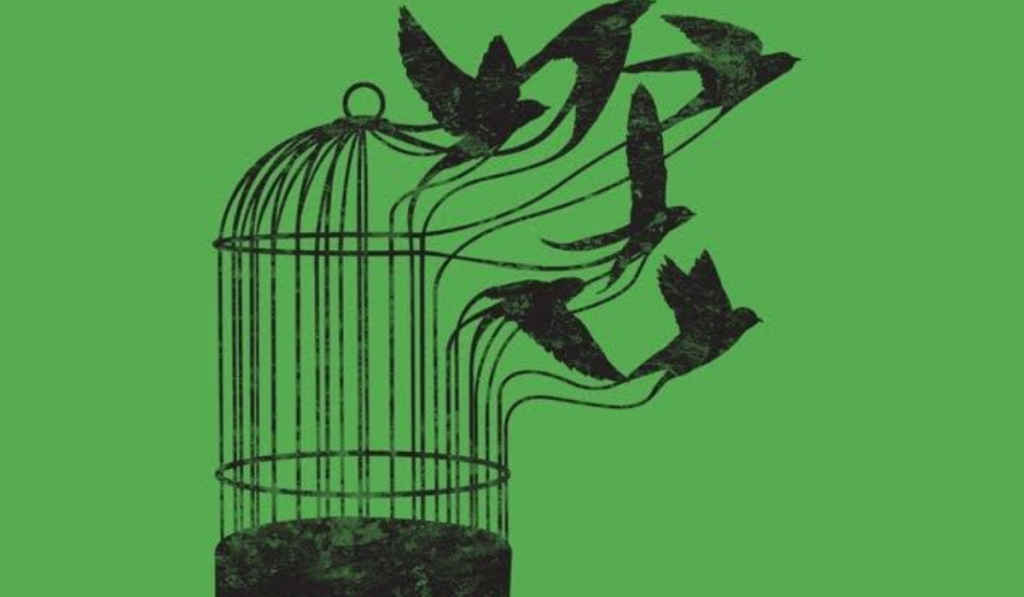 Why the Caged Bird Sings: The Illusion of Women’s Safety in India