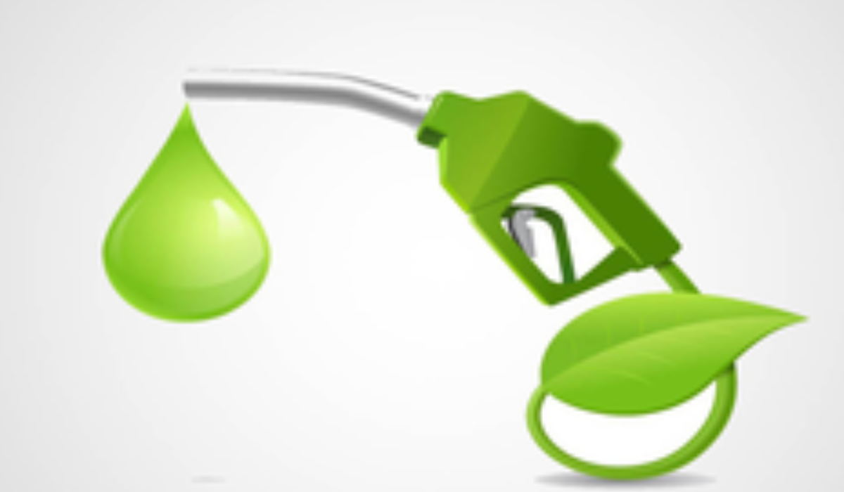 Govt halts sugar-based ethanol procurement as weak monsoon hurts output
