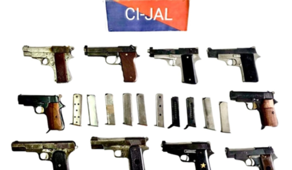 Punjab Police bust interstate weapons module; 10 country-made pistols seized