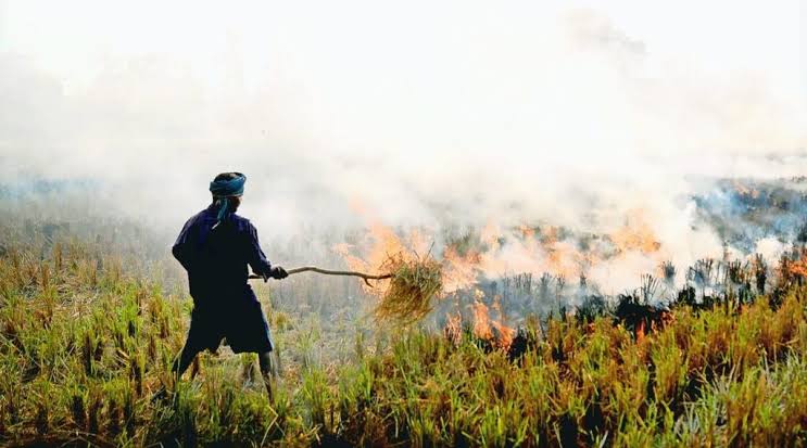 Problem of Stubble Burning Persists