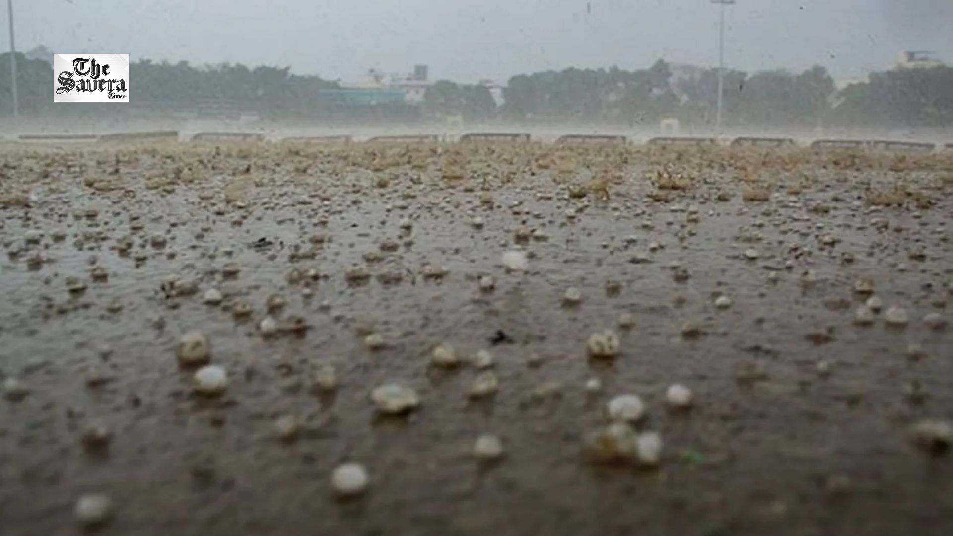 Haryana Weather Alert: Hailstorm Hits 3 Districts, Yellow Alert in 9 Districts
